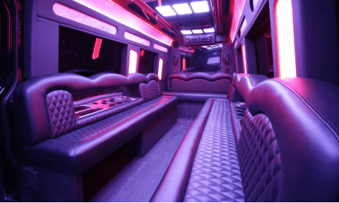 Thousand Oaks 14 Passenger Sprinter Bus Interior