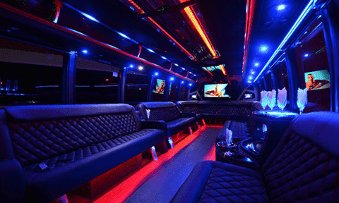 Anaheim 30 Passenger Party Bus Black Interior