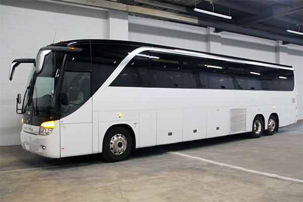 Anaheim 36 Passenger Party Bus